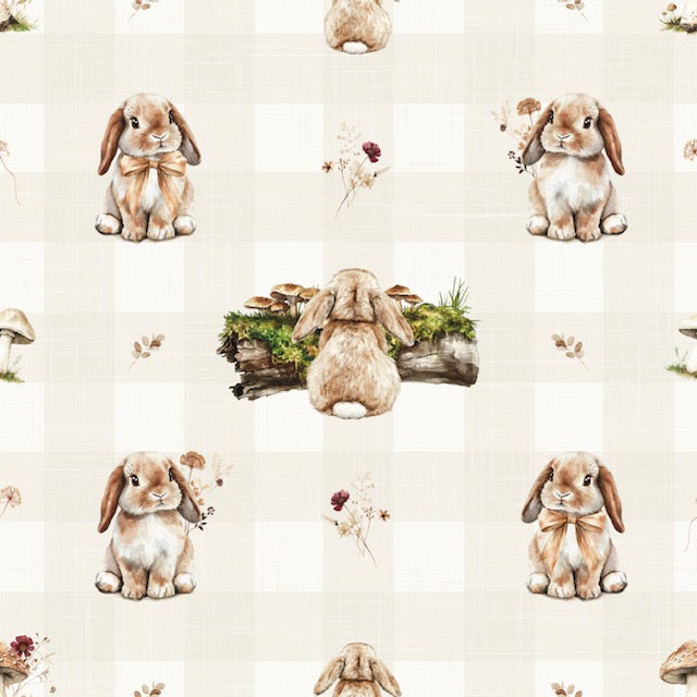 Couverture minky "Bonnie boo/ lisse rosewater"